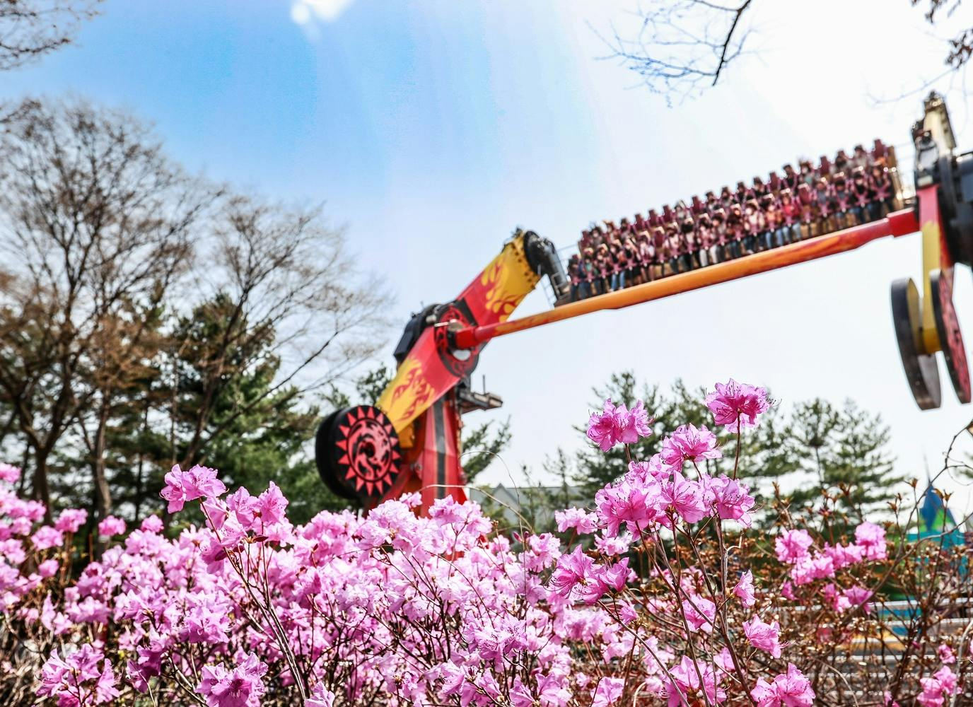 Seoul Land: 1-Day Pass + Sky Lift - Photo 1 of 13